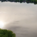 Drone Creativity